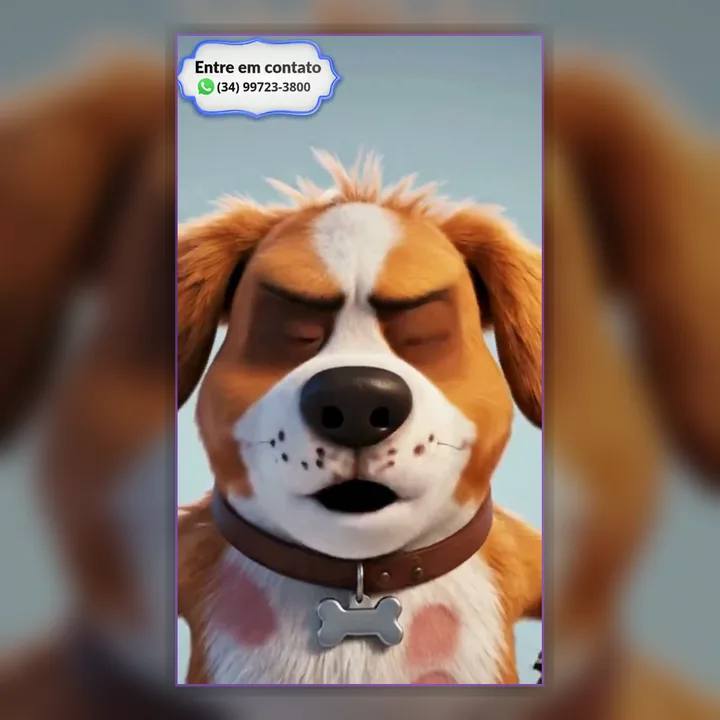 Vídeo Animado 19
